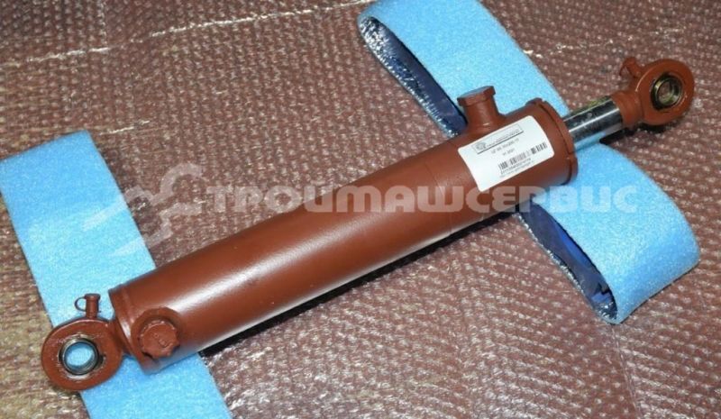 Гидроцилиндр ЦГ-60.30х250.11